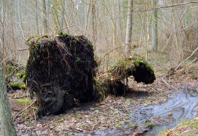 8812884952 0b28e3e258 o