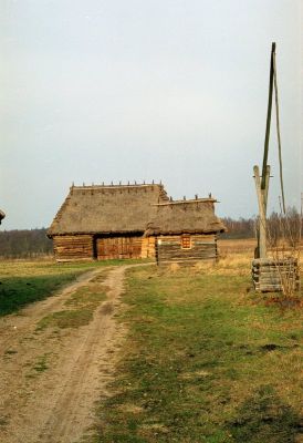 8812886382 fb7f7dc420 o