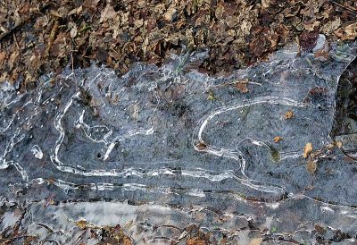 cieka ebra ubra 8802300659 o