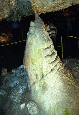 8812776240 c8721e4282 o