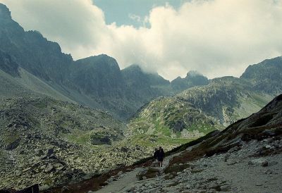 8812786214 66fd994b74 o