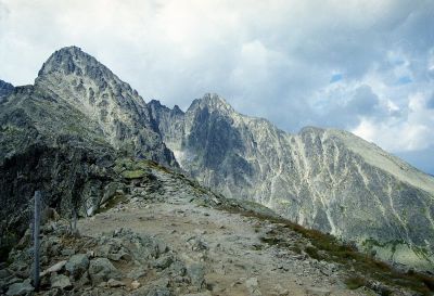 8812791008 e9246f68fa o