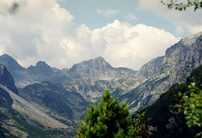 8812795002 7482f4bc4d o