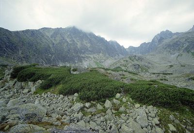 8812811954 26b9b9eccb o