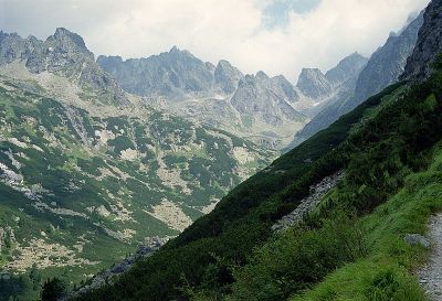 8812814772 9fecf6f3a7 o