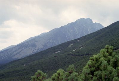 8812820474 13f0c1fb24 o