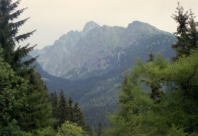 8812821756 3576e9f9f5 o