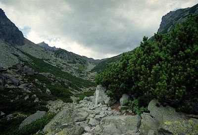 dolina starolena 8812788860 o