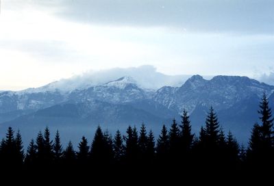 8802030157 7209d1229b o
