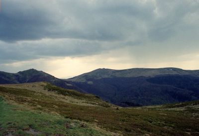 8801511805 38596c99fe o