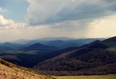 8801516917 bf86a2f45b o