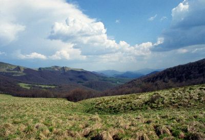 8801517105 1c223af909 o