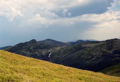 8812103442 41fd231868 o