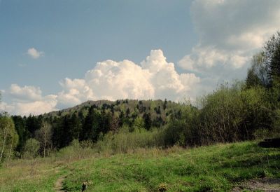 8812122470 8d7190f709 o