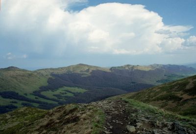 bukowe berdo 8812108074 o