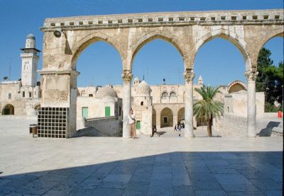 8801370667 f5a96951dc o