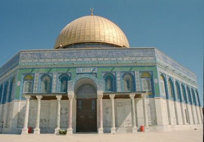 8801371019 b8ae9e0c43 o