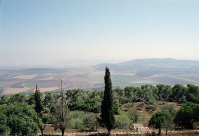 8801375221 8049a7dbd4 o