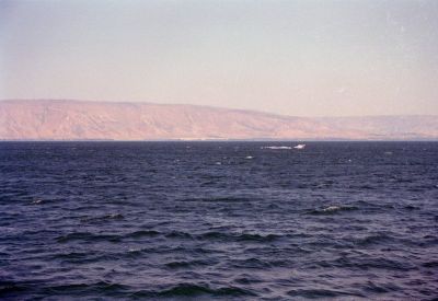 8801398473 1dcb3918c4 o