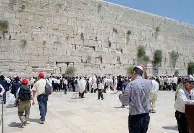 8801415797 e1a4e30b3f o