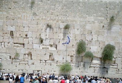 8801416043 8914290675 o