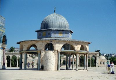 8811957292 7a8c3b0f3b o