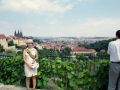 strahov   ogrody klasztorne 8801687639 o