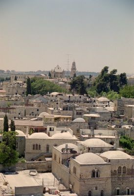 8811997154 83357cf3a2 o