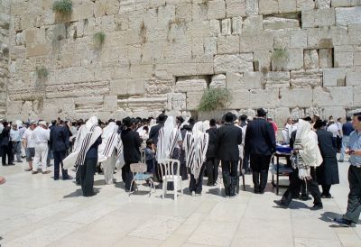 ciana paczu 8801412013 o