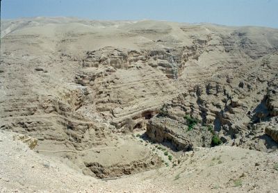 wadi quelt 8801371331 o