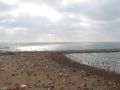 ocean 8851712556 o