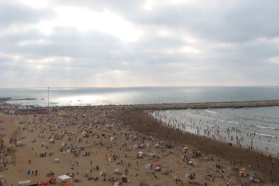 ocean 8851712556 o