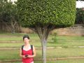 8851601166 a1910164ae o