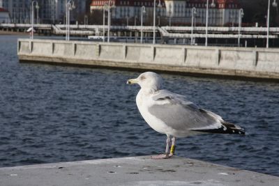 2019 02 10T11 58 28 IMG 7143