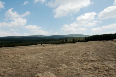 2019 05 02T13 14 23 IMG 7483