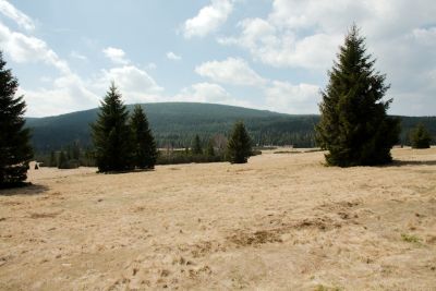 2019 05 02T13 17 19 IMG 7506