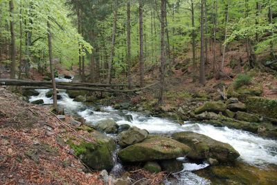 2019 05 03T11 37 01 IMG 7515