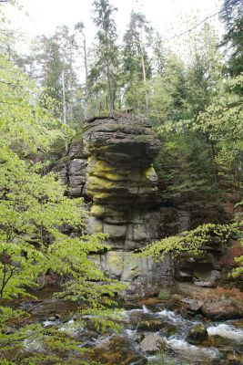 2019 05 03T11 39 04 IMG 7517