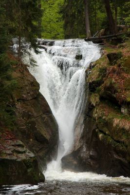 2019 05 03T11 42 03 IMG 7523