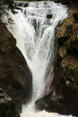 2019 05 03T11 45 35 IMG 7534