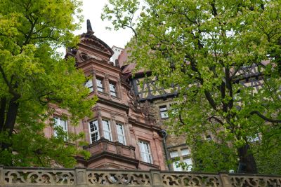 2019 05 04T13 19 24 IMG 7589