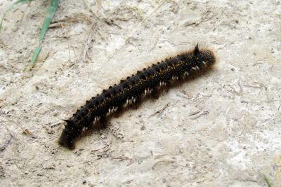 2019 07 13T12 43 12 IMG 0382