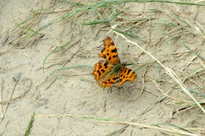 2019 07 13T12 51 25 IMG 0385