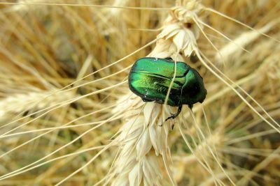 2019 07 13T12 54 37 IMG 0387