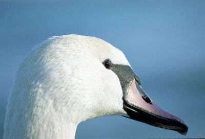 8812650614 90d143623e o