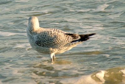 8812653072 d22d987937 o