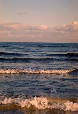 8812653440 6934566c75 o