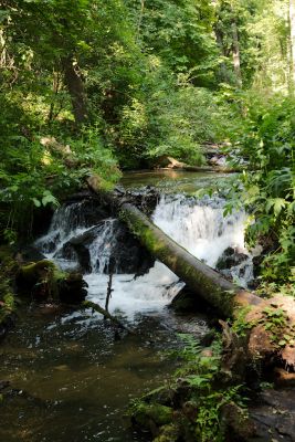 2019 07 16T16 53 00 IMG 8612