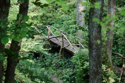 2019 07 16T17 15 01 IMG 8640