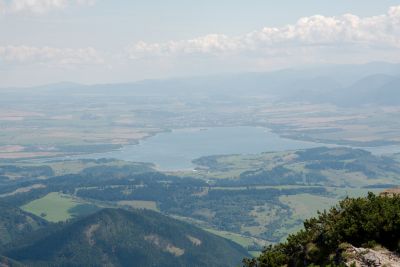 2019 08 09T12 59 09 IMG 8894